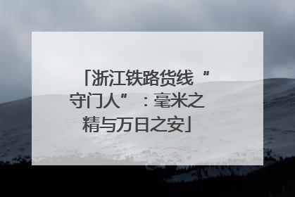 浙江铁路货线“守门人”：毫米之精与万日之安