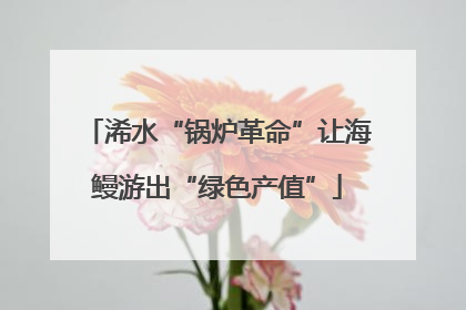 浠水“锅炉革命”让海鳗游出“绿色产值”