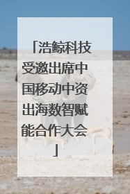 浩鲸科技受邀出席中国移动中资出海数智赋能合作大会