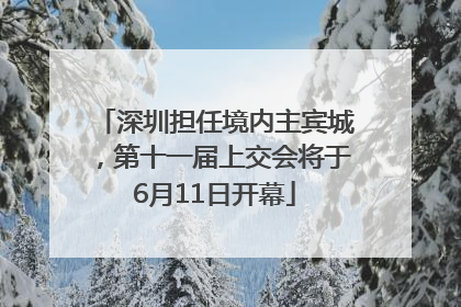 深圳担任境内主宾城，第十一届上交会将于6月11日开幕
