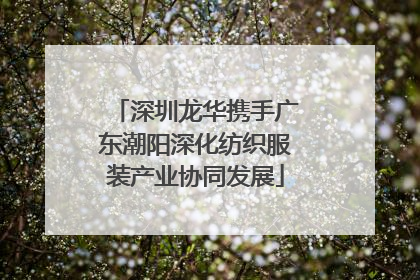深圳龙华携手广东潮阳深化纺织服装产业协同发展