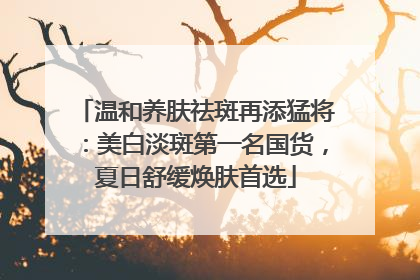 温和养肤祛斑再添猛将：美白淡斑第一名国货，夏日舒缓焕肤首选