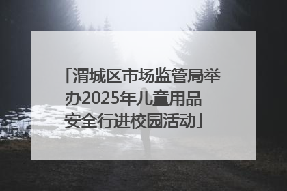 渭城区市场监管局举办2025年儿童用品安全行进校园活动