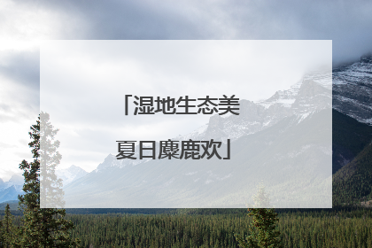 湿地生态美 夏日麋鹿欢