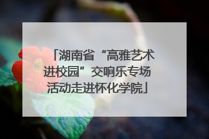 湖南省“高雅艺术进校园”交响乐专场活动走进怀化学院