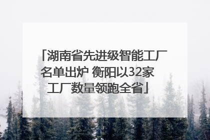 湖南省先进级智能工厂名单出炉 衡阳以32家工厂数量领跑全省