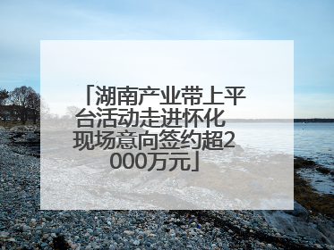 湖南产业带上平台活动走进怀化 现场意向签约超2000万元