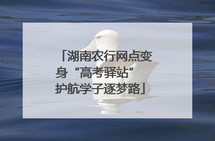 湖南农行网点变身“高考驿站” 护航学子逐梦路