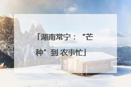 湖南常宁：“芒种”到 农事忙