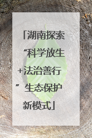 湖南探索“科学放生+法治善行”生态保护新模式