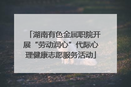 湖南有色金属职院开展“劳动润心”代际心理健康志愿服务活动