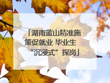 湖南蓝山精准施策促就业 毕业生“沉浸式”探岗