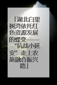 湖北白果树湾依托红色资源发展的蝶变——“抗战小延安”走上农旅融合振兴路