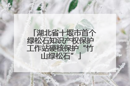湖北省十堰市首个绿松石知识产权保护工作站硬核保护“竹山绿松石”