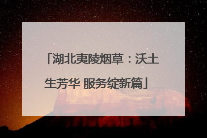 湖北夷陵烟草：沃土生芳华 服务绽新篇