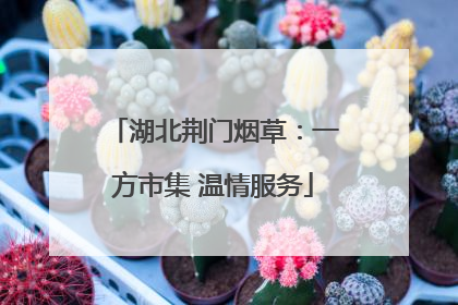 湖北荆门烟草：一方市集 温情服务