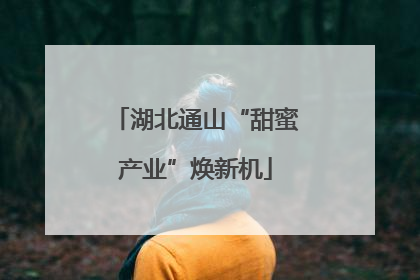 湖北通山“甜蜜产业”焕新机