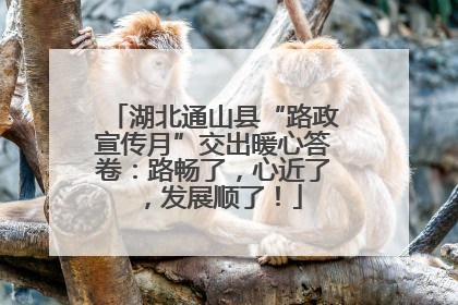 湖北通山县“路政宣传月”交出暖心答卷：路畅了，心近了，发展顺了！