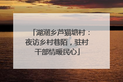 湖潮乡芦猫塘村：夜访乡村巷陌，驻村干部情暖民心