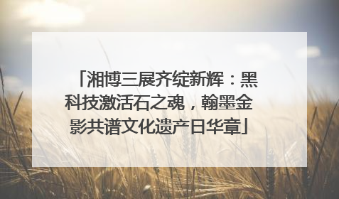 湘博三展齐绽新辉：黑科技激活石之魂，翰墨金影共谱文化遗产日华章