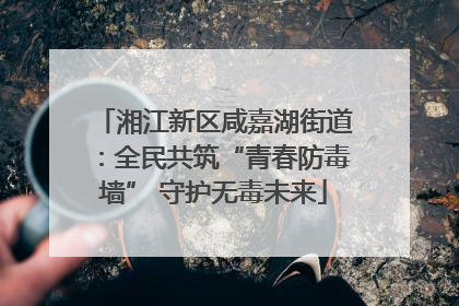 湘江新区咸嘉湖街道：全民共筑“青春防毒墙” 守护无毒未来
