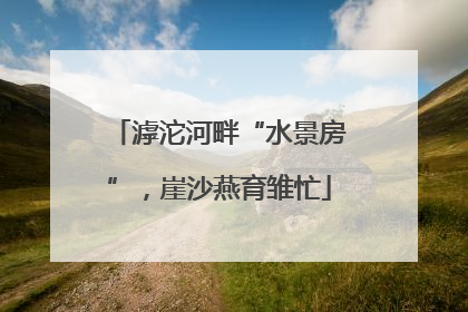 滹沱河畔“水景房”，崖沙燕育雏忙
