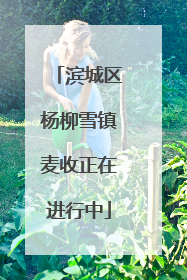 滨城区杨柳雪镇麦收正在进行中