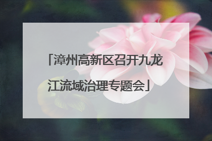 漳州高新区召开九龙江流域治理专题会