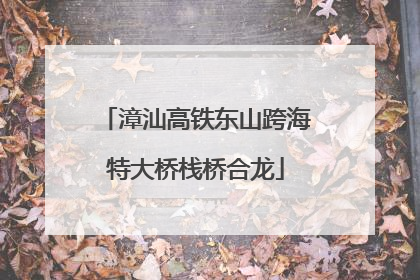 漳汕高铁东山跨海特大桥栈桥合龙