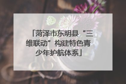 菏泽市东明县“三维联动”构建特色青少年护航体系