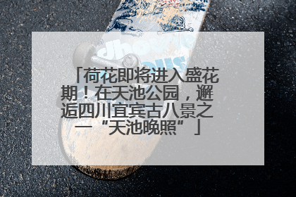 荷花即将进入盛花期！在天池公园，邂逅四川宜宾古八景之一“天池晚照”