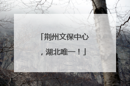 荆州文保中心，湖北唯一！