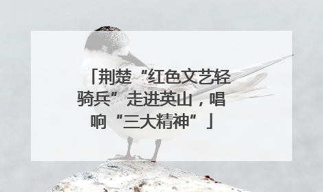荆楚“红色文艺轻骑兵”走进英山，唱响“三大精神”
