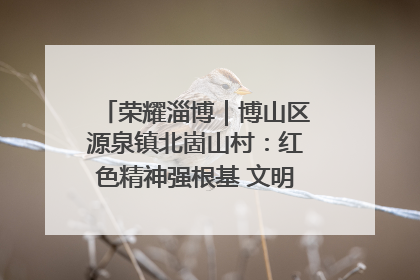 荣耀淄博｜博山区源泉镇北崮山村：红色精神强根基 文明新风润山乡