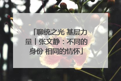 聊统之光 基层力量丨张文静：不同的身份 相同的情怀