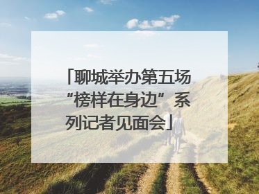聊城举办第五场“榜样在身边”系列记者见面会