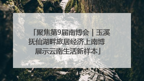 聚焦第9届南博会｜玉溪抚仙湖畔旅居经济上南博 展示云南生活新样本