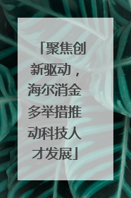 聚焦创新驱动，海尔消金多举措推动科技人才发展