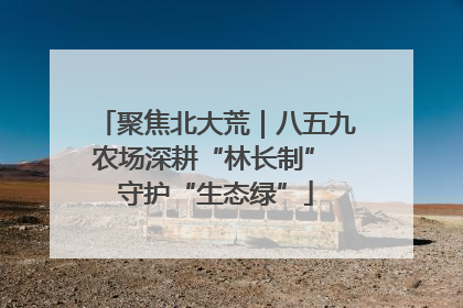 聚焦北大荒｜八五九农场深耕“林长制” 守护“生态绿”