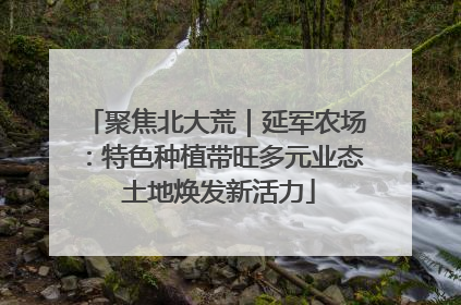聚焦北大荒｜延军农场：特色种植带旺多元业态 土地焕发新活力