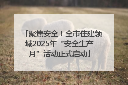 聚焦安全！全市住建领域2025年“安全生产月”活动正式启动