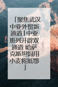 聚焦武汉中亚外贸新通道│中亚班列开辟双通道 哈萨克斯坦饲用小麦将抵鄂