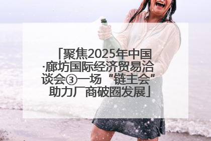 聚焦2025年中国·廊坊国际经济贸易洽谈会③一场“链主会” 助力厂商破圈发展