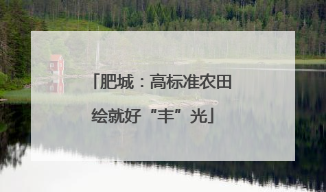 肥城：高标准农田绘就好“丰”光