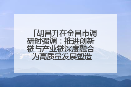 胡昌升在金昌市调研时强调：推进创新链与产业链深度融合 为高质量发展塑造新动能新优势