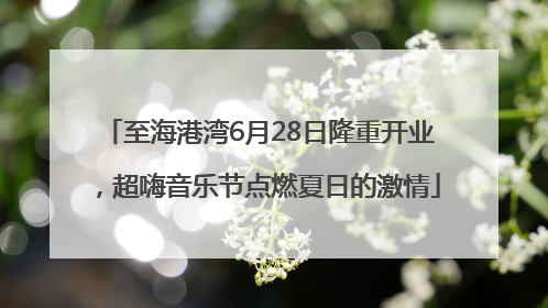 至海港湾6月28日隆重开业，超嗨音乐节点燃夏日的激情