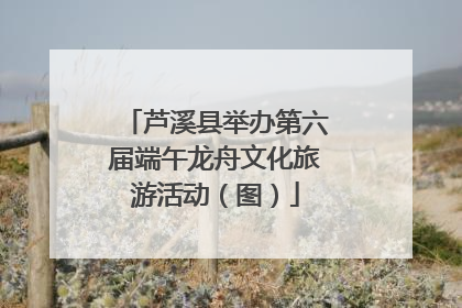 芦溪县举办第六届端午龙舟文化旅游活动（图）