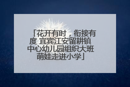 花开有时，衔接有度 宜宾江安留耕镇中心幼儿园组织大班萌娃走进小学