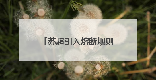苏超引入熔断规则：单场净胜球超过8个，比赛立即终止