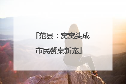 范县：窝窝头成市民餐桌新宠